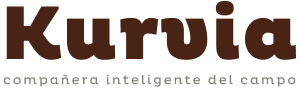 Kurvia Logo
